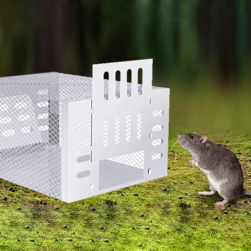 Humane Reusable Mouse Trap