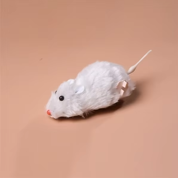 Electric Interactive Racing Mouse Cat Toy