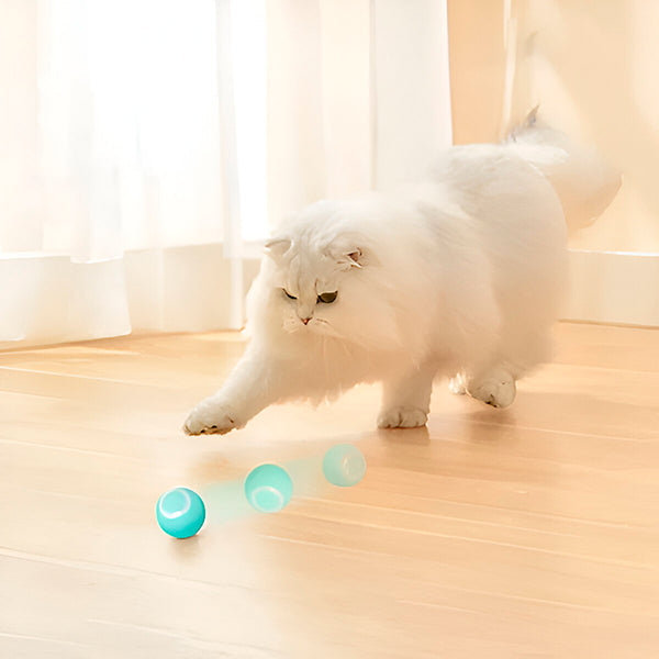 Automatic Rolling Interactive Pet Ball