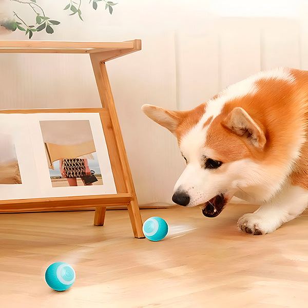 Automatic Rolling Interactive Pet Ball