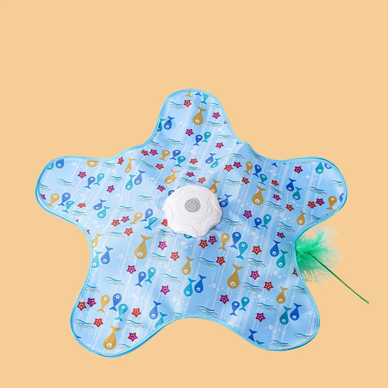 Hide and Seek Interactive Cat Toy
