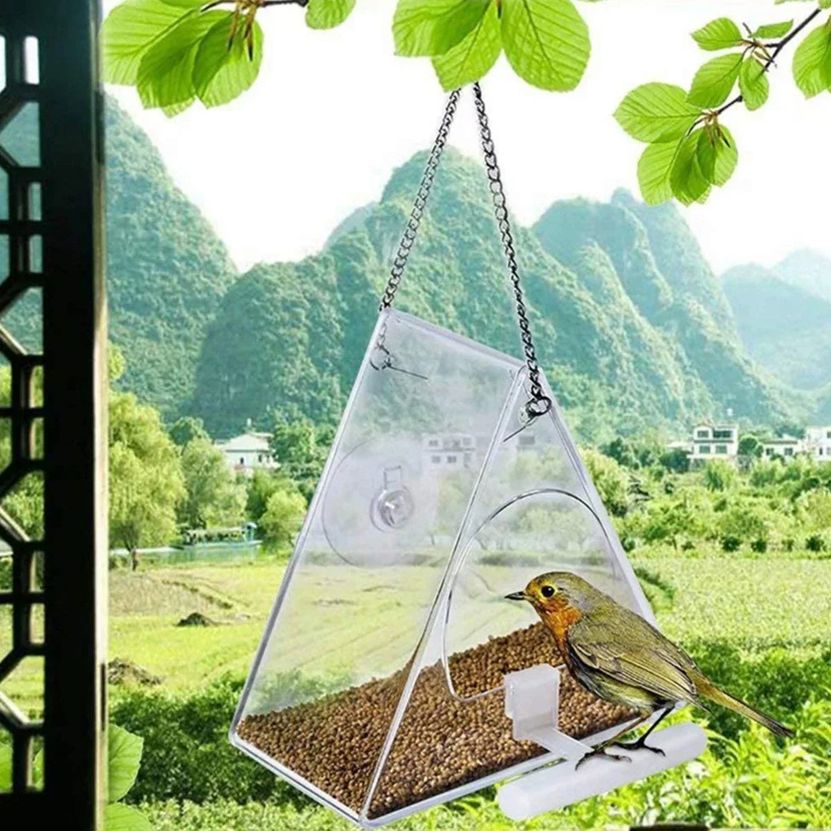 Clear Acrylic Hanging Bird Feeder
