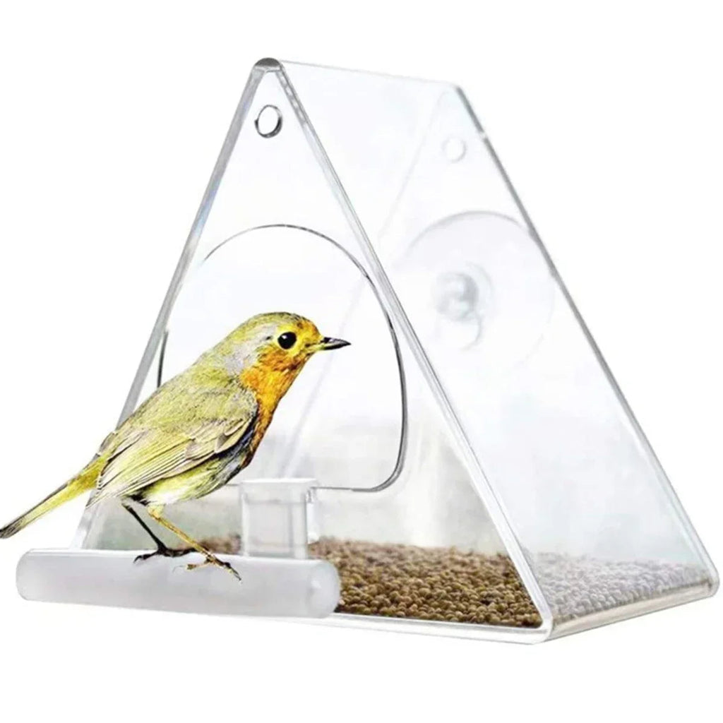 Clear Acrylic Hanging Bird Feeder