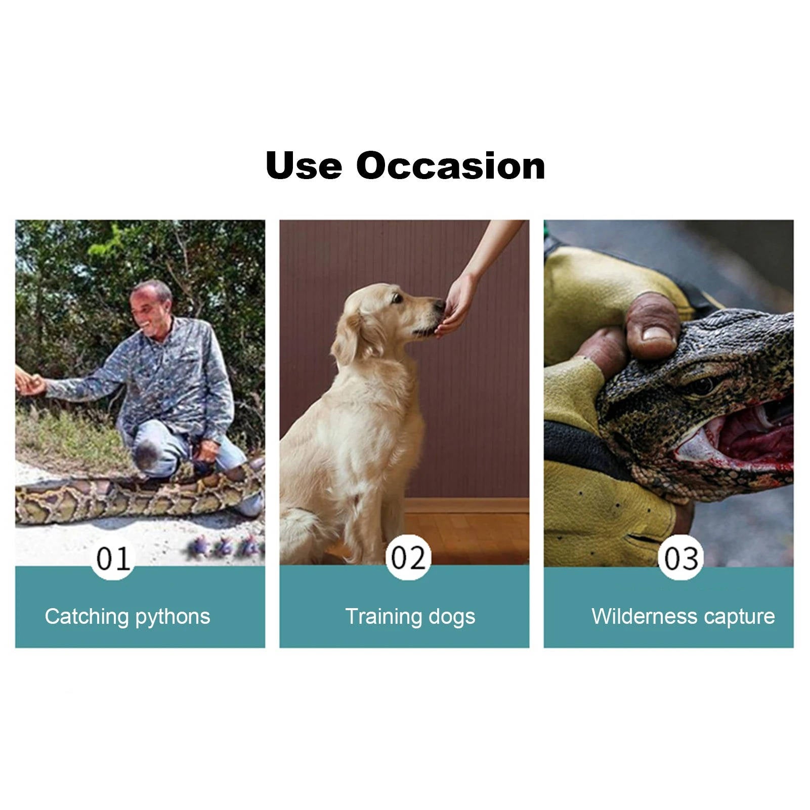 Bite Protection Gloves for Pets
