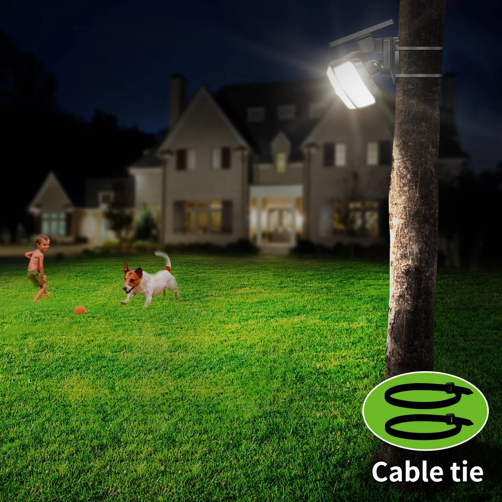 Solar Motion Sensor Flood Lights
