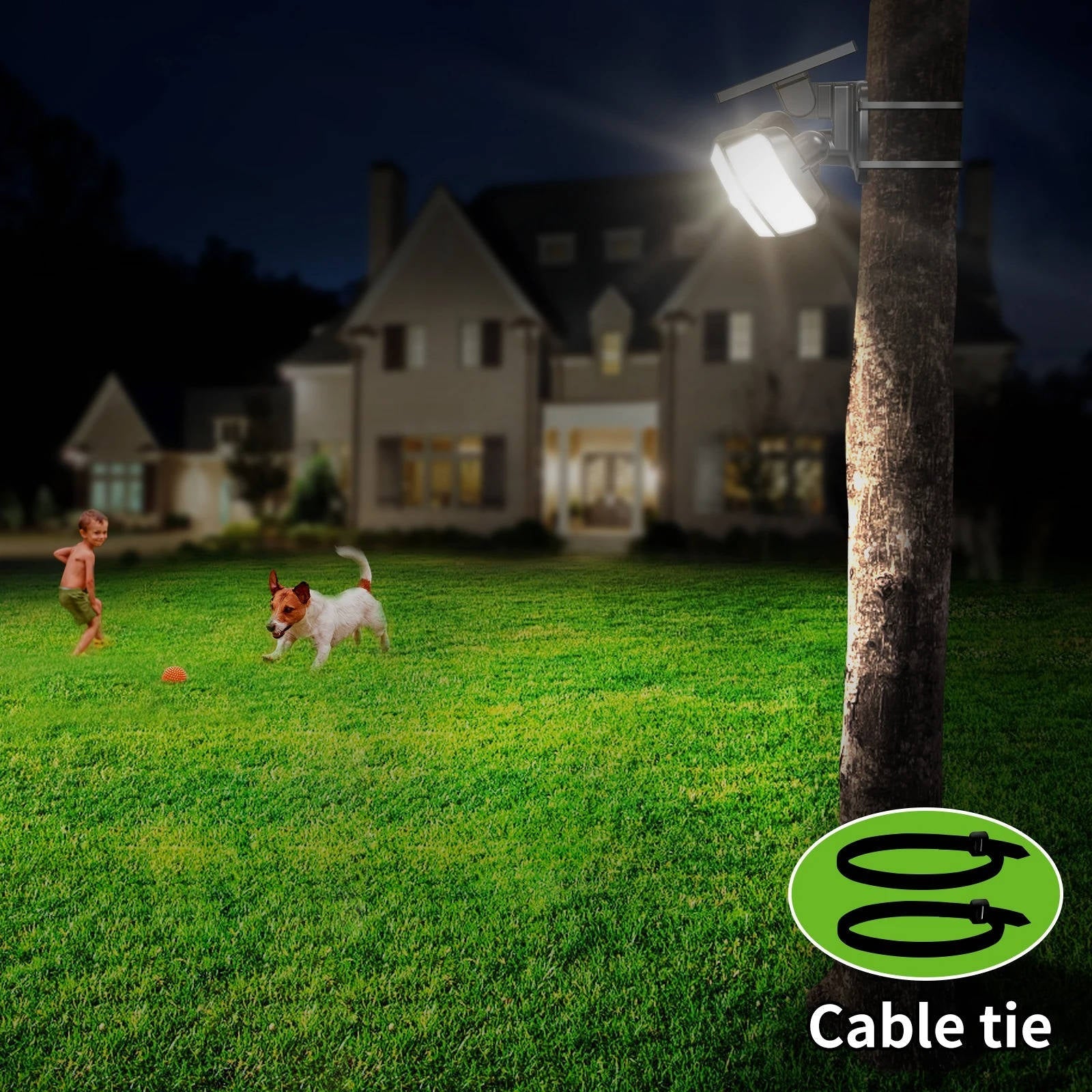 Solar Motion Sensor Flood Lights