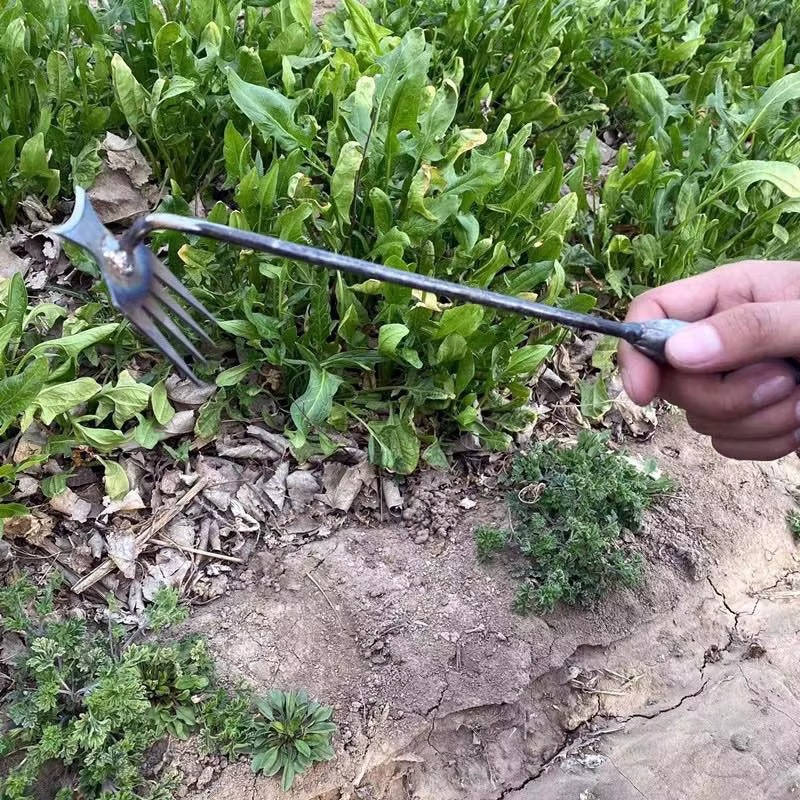 Garden Weed Remover Tool