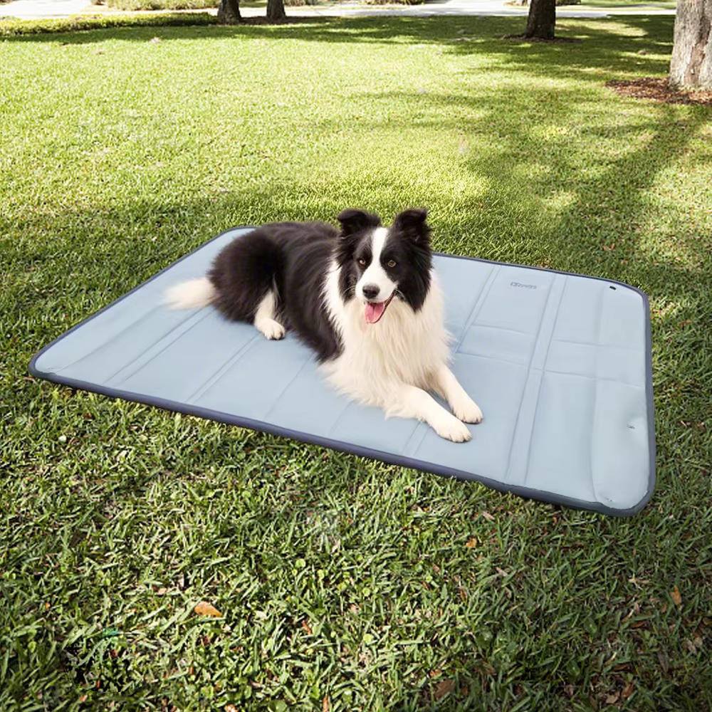 Convertible Dog Travel Bag & Mat