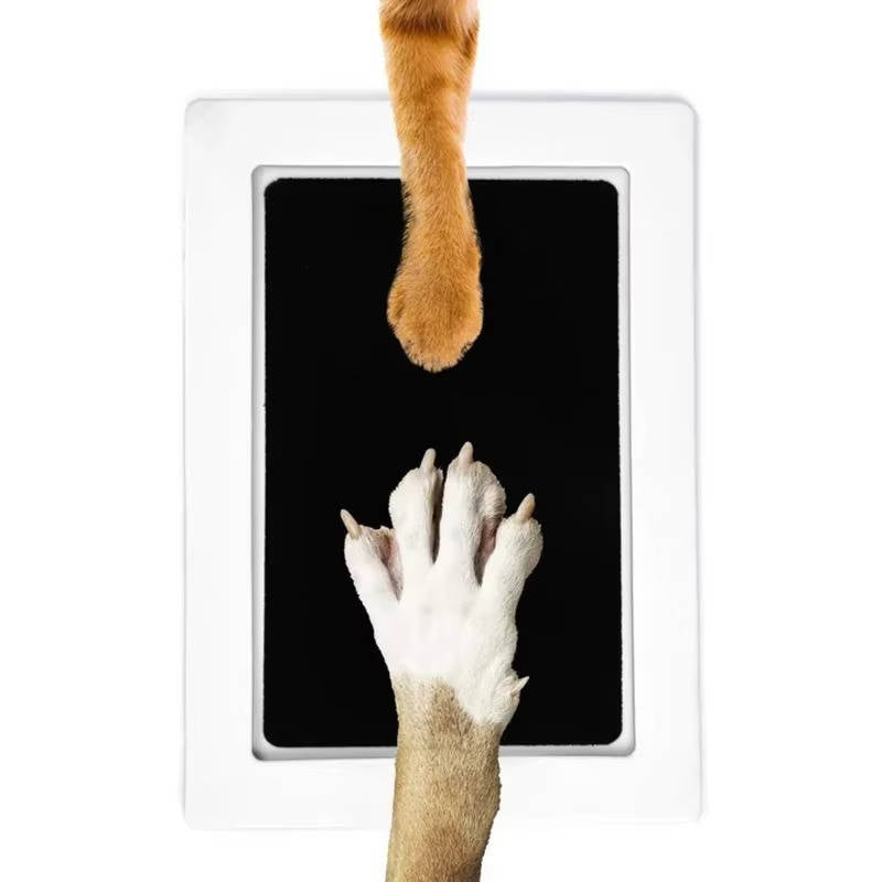 Dog Paw Print Keepsake Kit
