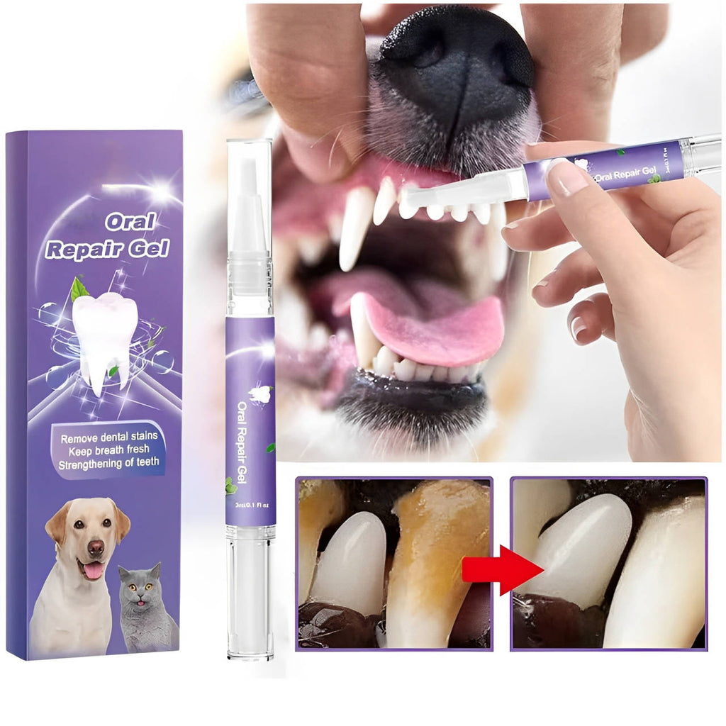 Dog Dental Care Gel (3-Pack)