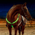 LED Light-Up Breast Collar for Horses