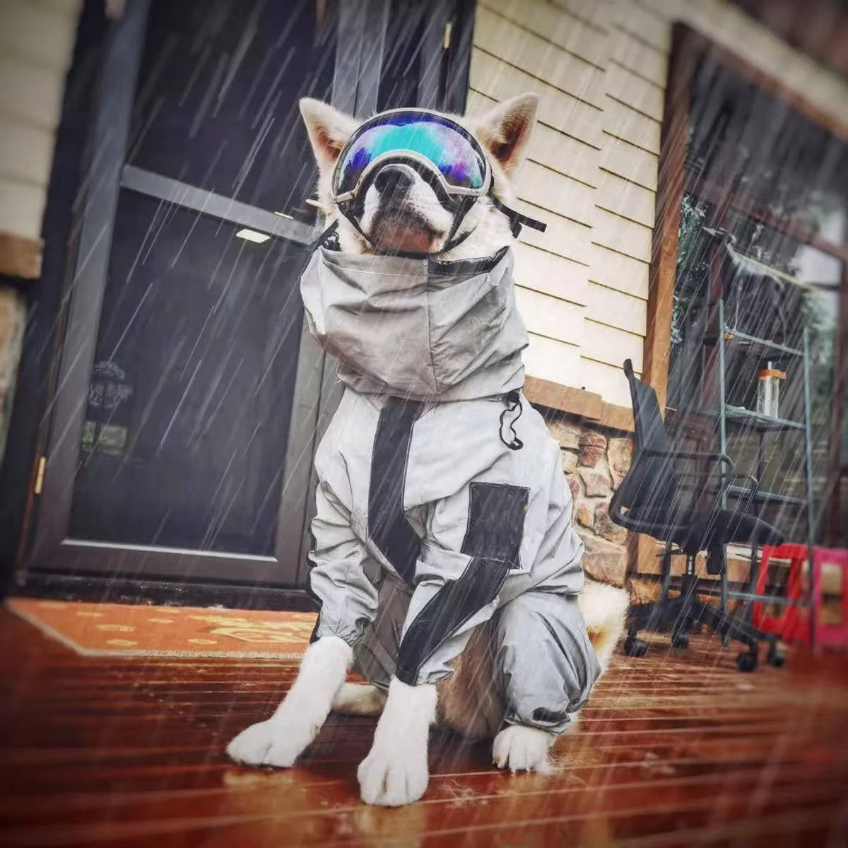Waterproof Dog Raincoat