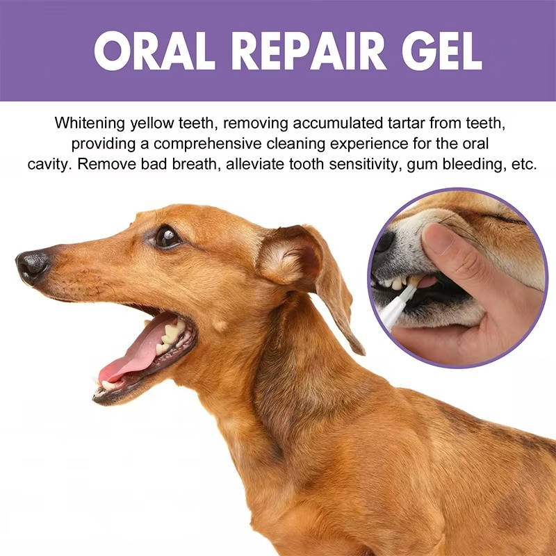 Dog Dental Care Gel (3-Pack)