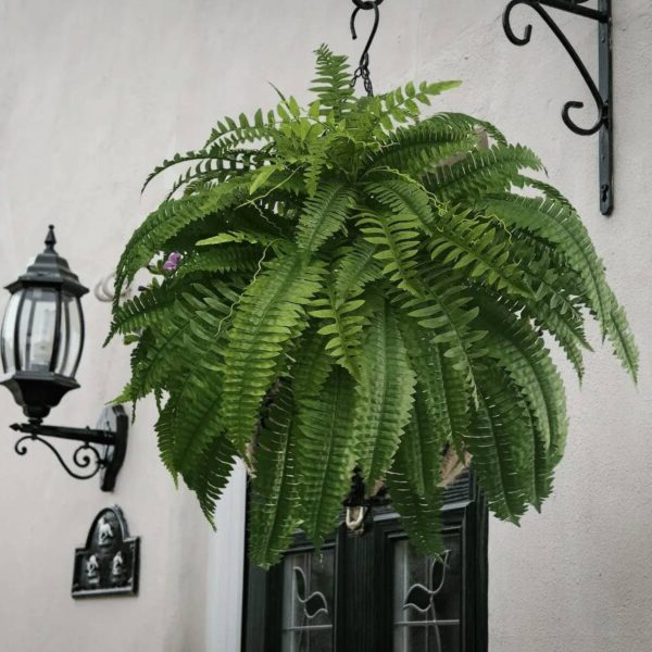 UV Resistant Artificial Boston Fern