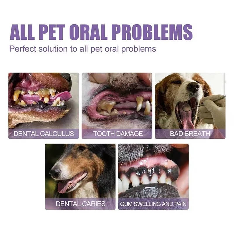 Dog Dental Care Gel (3-Pack)