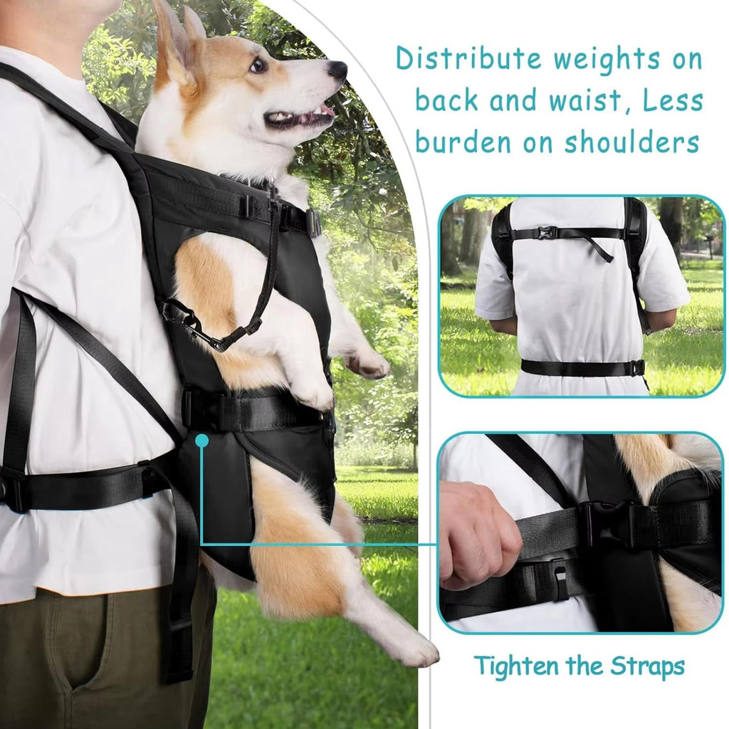 Ventilated Dog Carrying Backpack