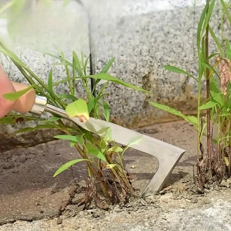 Crack Weeder & Brick Joint Puller Tool