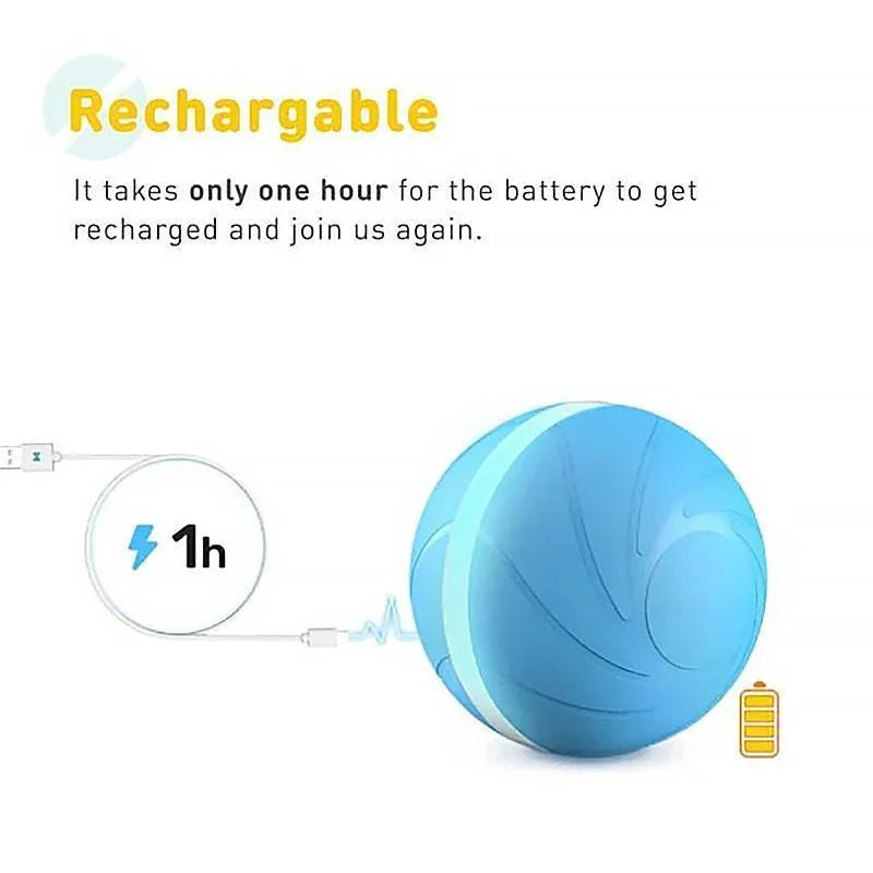 Magic Motion Ball Interactive Pet Toy