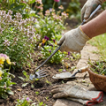 Crescent Weeder Tool with Long Handle lifestyle