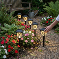 6 Pack LED Solar Pathway Garden Lights lifestyle