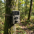 1080P Night Vision Trail Camera lifestyle