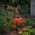 Solar Bird Repeller with Flashing Light lifestyle