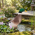 Double-Sided Outdoor Duck Garden Decoration lifestyle