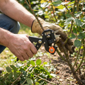 Pro Grafting & Pruning Tool Kit lifestyle