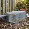 Reusable Metal Mouse Trap Cage lifestyle