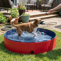 Foldable Dog Pool lifestyle