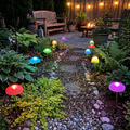 Solar Jellyfish Lights for Outdoor Garden lifestyle