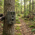 Elite Vision Wildlife Trail Camera lifestyle