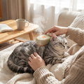 3-in-1 Pet Steam Grooming Brush lifestyle
