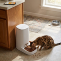 Automatic Cat Feeder lifestyle