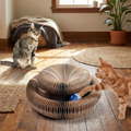 Cat Scratcher with Ball Track lifestyle