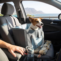 Convertible Dog Travel Bag & Mat lifestyle