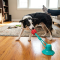 Dog Suction Toy lifestyle