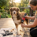 Electric Professional Dog Grooming Clipper lifestyle