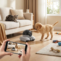 Indoor Pet Dog & Cat Home Camera lifestyle