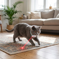 Interactive Laser Cat Collar lifestyle