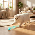 Automatic Rolling Interactive Pet Ball lifestyle