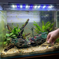 Large Sunken Boat Aquarium Decoration lifestyle