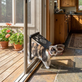 Pet Screen Door lifestyle