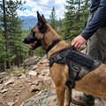 Tactical No-Pull Dog Harness lifestyle