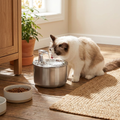 Stainless Steel Cat Water Fountain lifestyle
