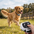 Wireless Dog Fence with Collar lifestyle