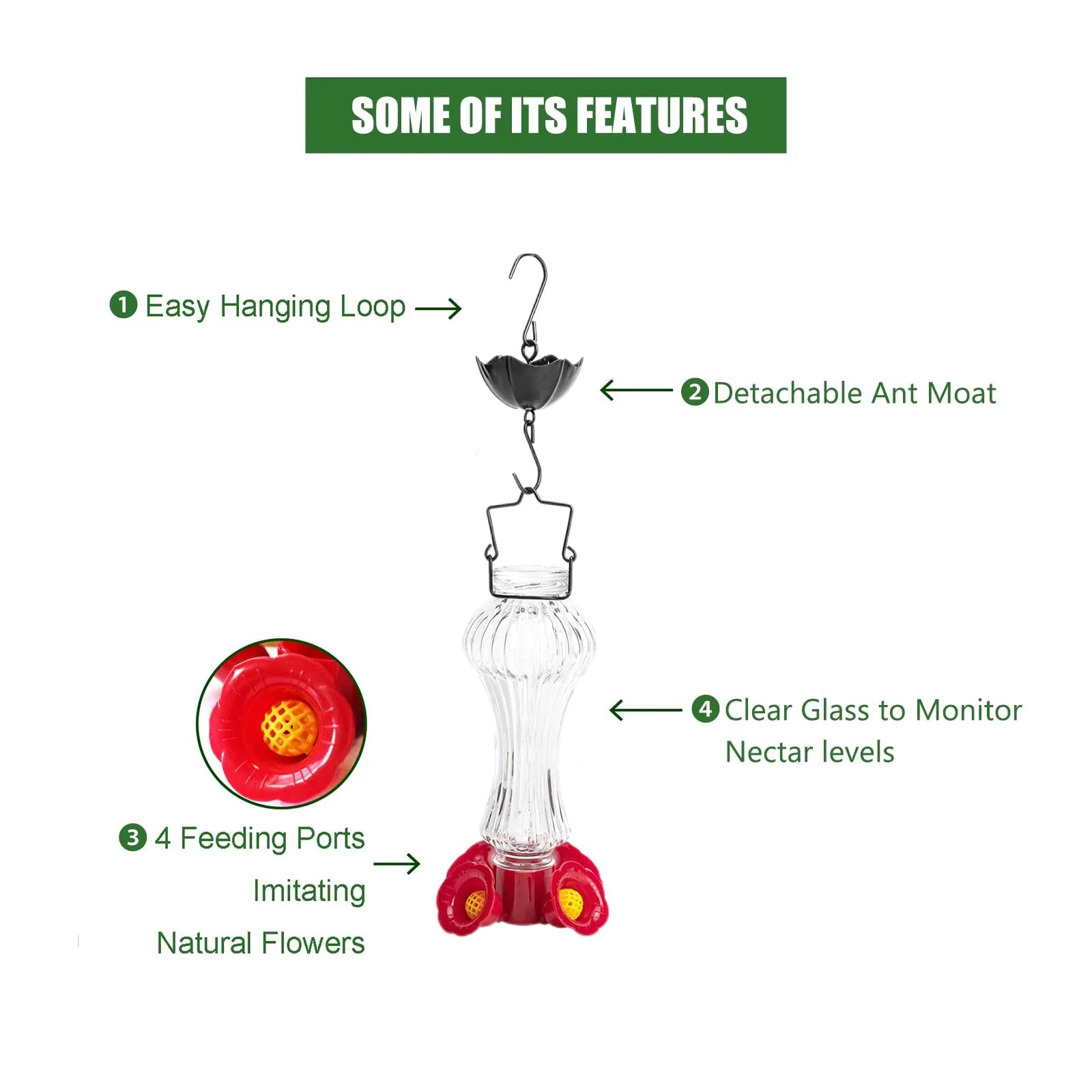 Glass Hummingbird Feeder with Ant Moat