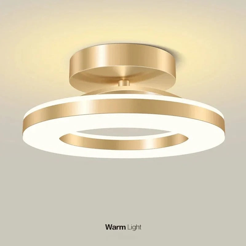 Modern LED Flush Mount Ceiling Light