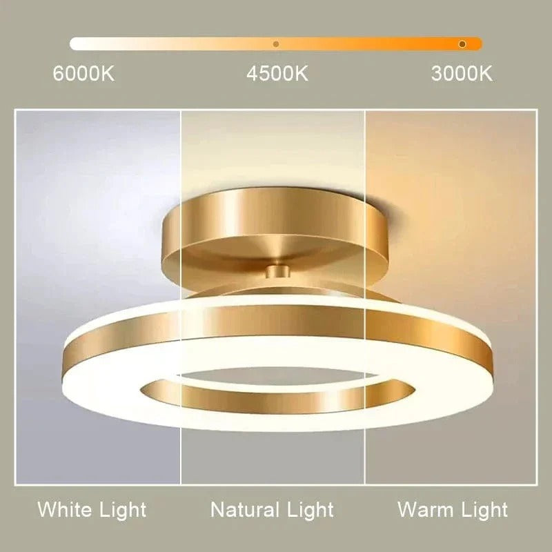 Modern LED Flush Mount Ceiling Light