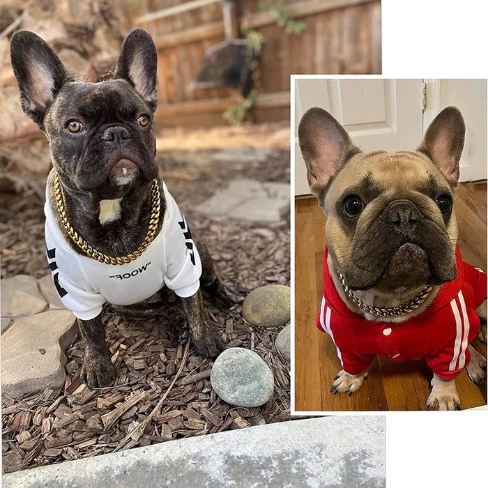 Heavy-Duty Solid Link Dog Collar